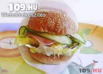 Hamburger gyrosos